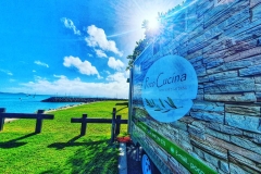 186511977_313655183552613_281589975152027403_n